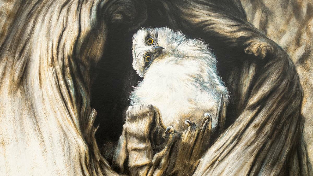 ART:: Steve Morvell's charcoal engraving 'New life from old roots - powerful owlet', 2019, is an example of the qualiy for entrants for the WAMA Art Prize. Picture: FILE