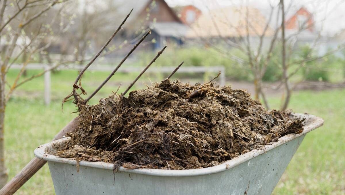 OVERREGULATED: Manure is now classified as industrial waste, something farmers say is a step too far. Picture: iStock