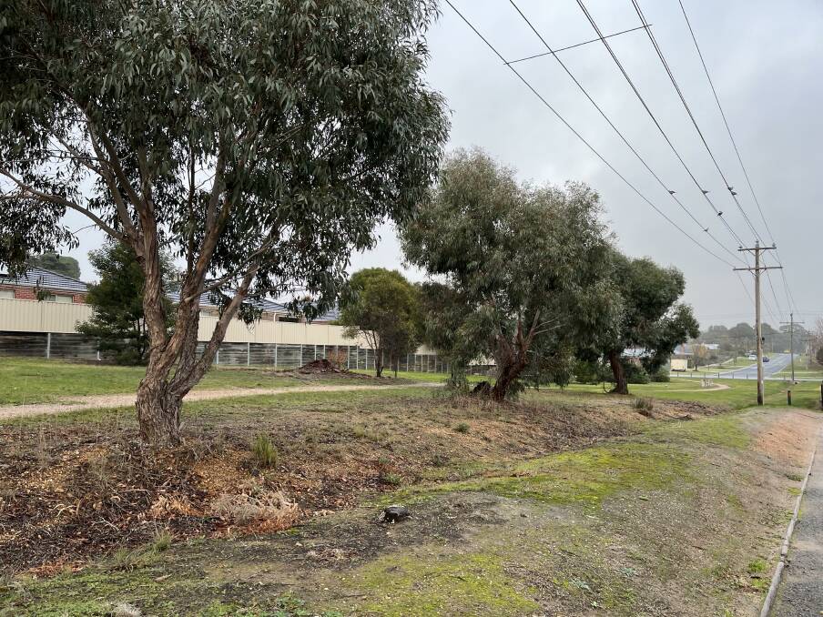 TREES: Ararat Landcare's Urban Trees project. Picture: CONTRIBUTED