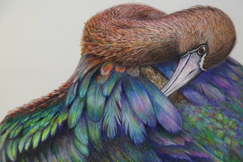 ART: Pamela Orr, 'Serene' 2021, coloured pencil and ink, 20 x 20cm. Picture: Contribtued, ARCC. 