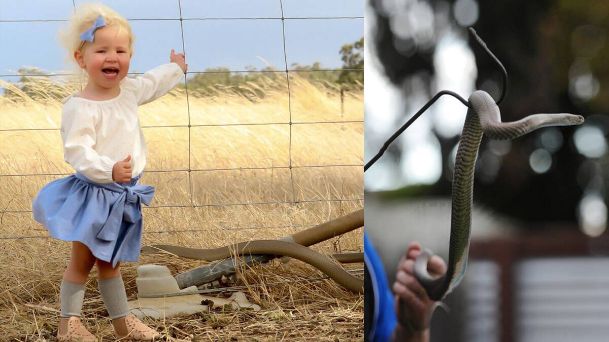 Kaniva's Molly Dickinson, 2, had a close encounter with a snake on Wednesday.