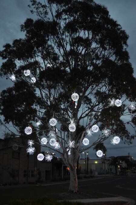 LIT UP: LED balls and stars have been installed on the gum tree.  