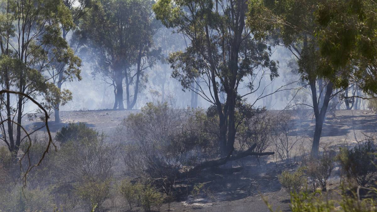 Country Fire Authority crews responded to a fire at Armstrong on Wednesday. Pictures: Peter Pickering