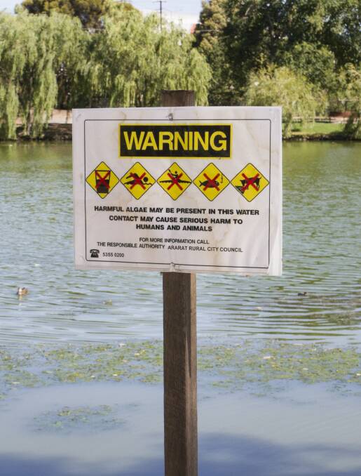 SHUT: Residents are being warned to keep themselves and their pets away from Alexandra Lake because of a blue-green algae bloom. Picture: Peter Pickering