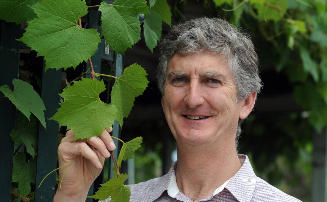 VALUE: Mount Langi Ghiran Vineyards general manager and chair of Wine Victoria Damien Sheehan says he will continue to fight for growers. Picture: PAUL CARRACHER
