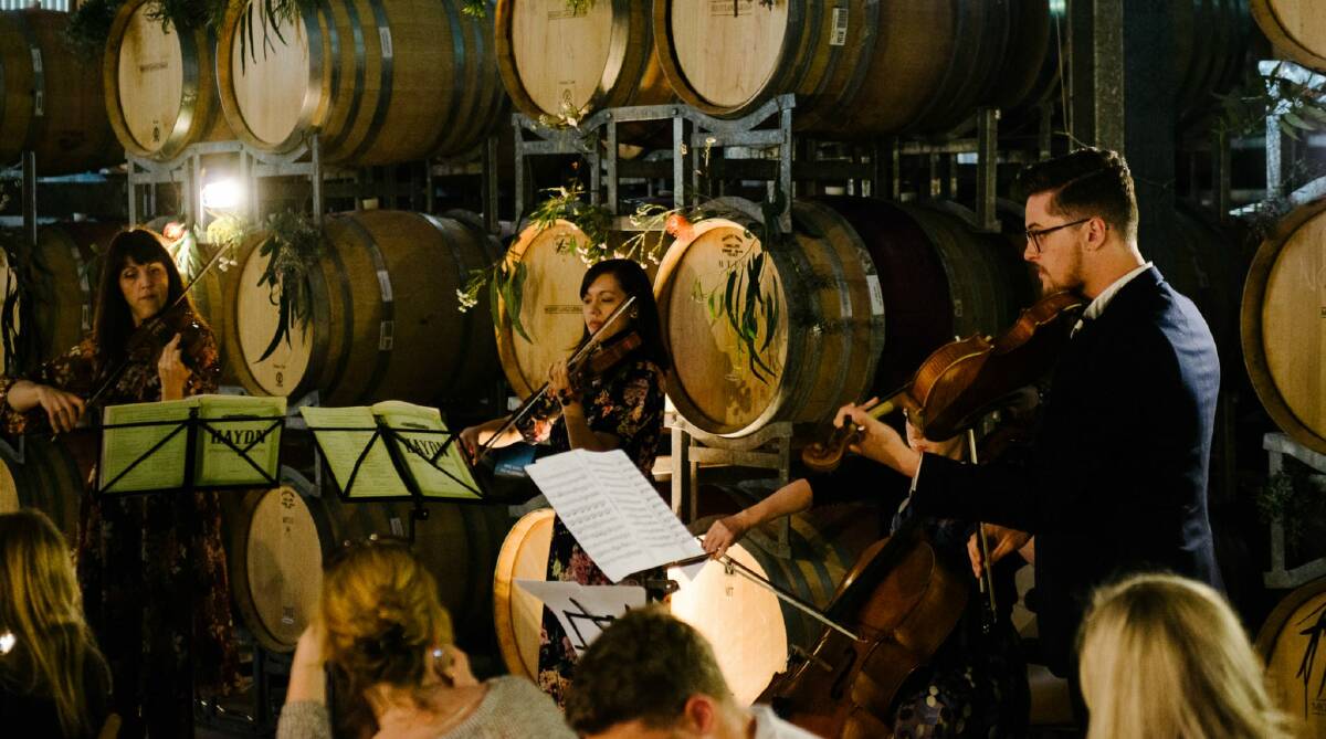 MUSIC IN THE VINES: Melbourne Symphony Orchestra musicians will perform at Mount Langi Ghiran vineyard at noon on October 31. Picture: CONTRIBUTED