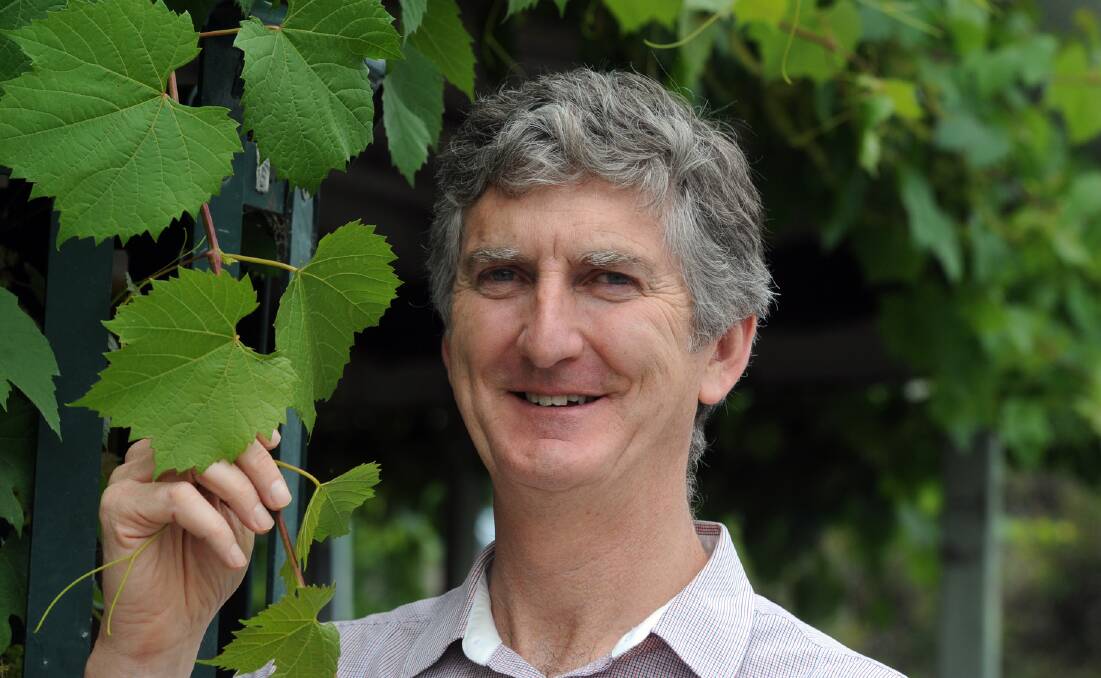 VALUE: Mount Langi Ghiran Vineyards general manager and chair of Wine Victoria Damien Sheehan says he will continue to fight for growers. Picture: PAUL CARRACHER