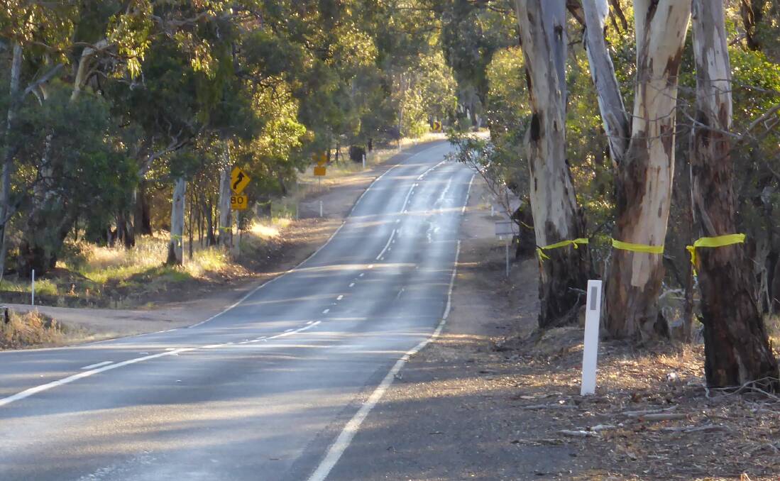 DISAPPOINTED: Ararat and Moyston Landcare Group has slammed plans by VicRoads to remove 35 trees on the Ararat-Moyston Road at Cathcart. Picture: CONTRIBUTED