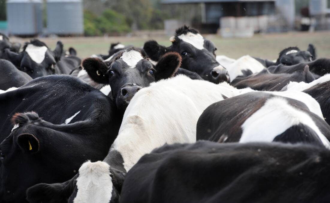 The state government has announced an $11.4-million support package for Victoria's dairy farmers.