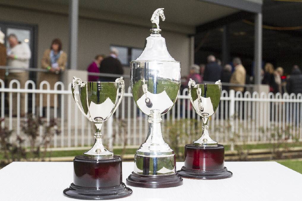 It's that time of year again... the 2016 T.M ‘Murray’ Slattery Willaura Cup will be held this Sunday, April 24 in Ararat. Picture: PETER PICKERING 
