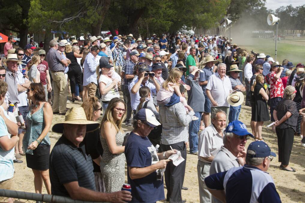 The crowd at the 2016 Seppelt Salinger Great Western Cup.  