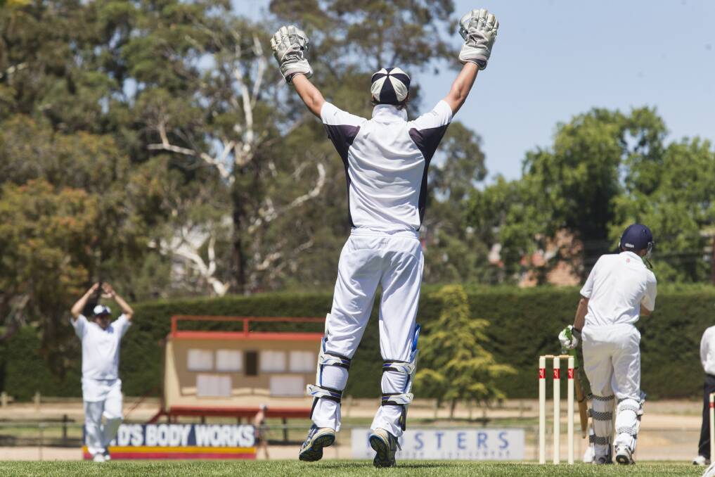 COME ON: Aradale wicket-keeper, Riley Wood, makes an enthusiastic appeal last weekend. Aradale plays the Combine tomorrow. Picture: PETER PICKERING