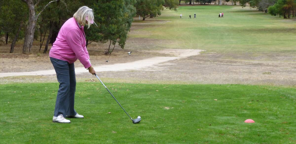 TEE OFF: Chalambar Ladies Golf Club players wore pink during the event to raise money for the Ballarat Cancer Research Centre.