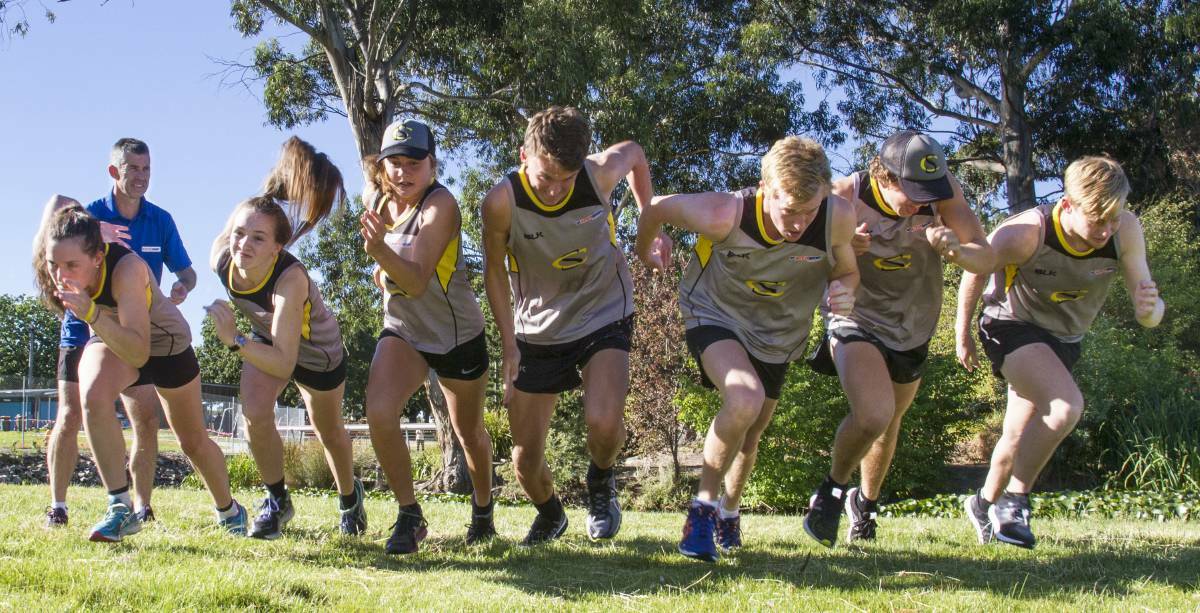 READY: The Cooper stable is in good shape ahead of the new Victorian Athletics League season. Picture: Peter Pickering