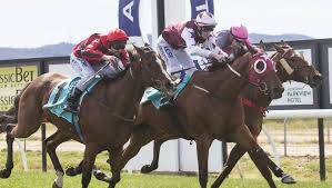 Racing will return to Ararat on Saturday for the Willaura Cup.