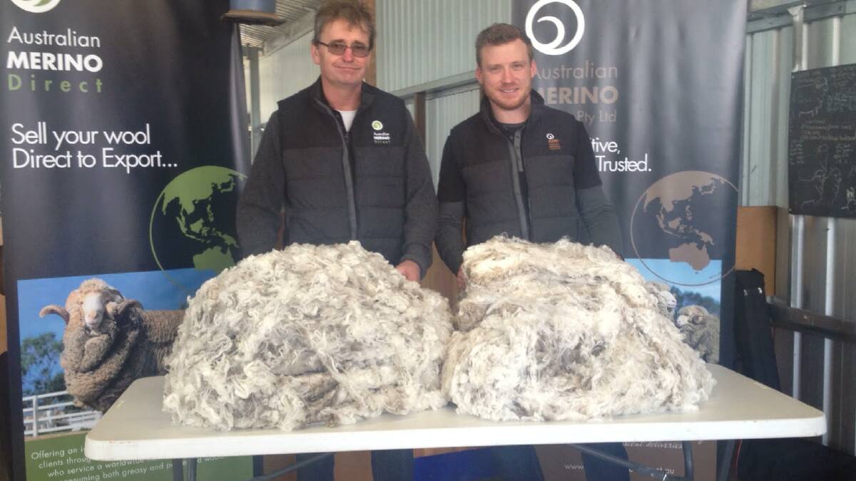 Wool samples: Andrew Worthington and Tim Gration of Australian Merino Exports assessing and valuing some of the winning fleeces before purchasing at the Australian Superfine Wool Growers Association's fleece competition and reunion. Picture: provided. 
