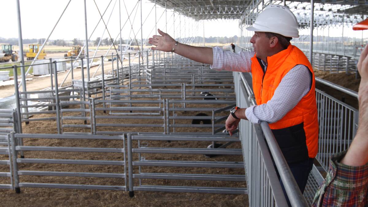 Rohan Arnold leads a tour last month through the new saleyards at Mortlake.
