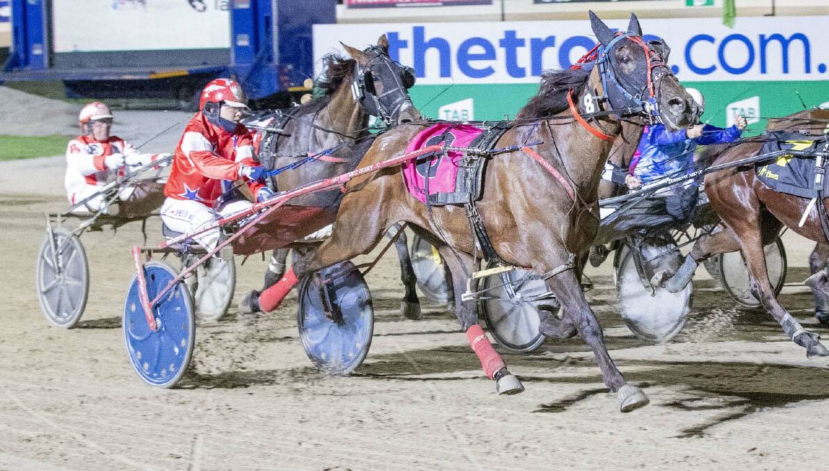 CAREER HIGHLIGHT: Maorishadow, driven by Denbeigh Wade, wins the Vicbred Platinum Trotting Mares Sprint Championship at Melton in 2020.