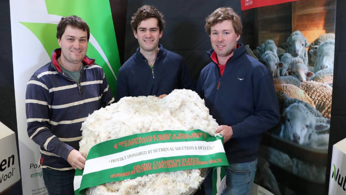 Chris, Tim and Ben Hartwich, Mount Challicum Merino stud, Ararat, have won this year's Australian Fleece Competition.