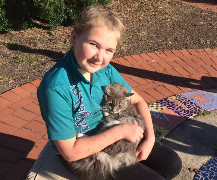 PAWESOME: Swayde Fox and Bandit the cat share an affectionate moment in the sun during Concongella Primary School's first pet day on Friday, November 11.