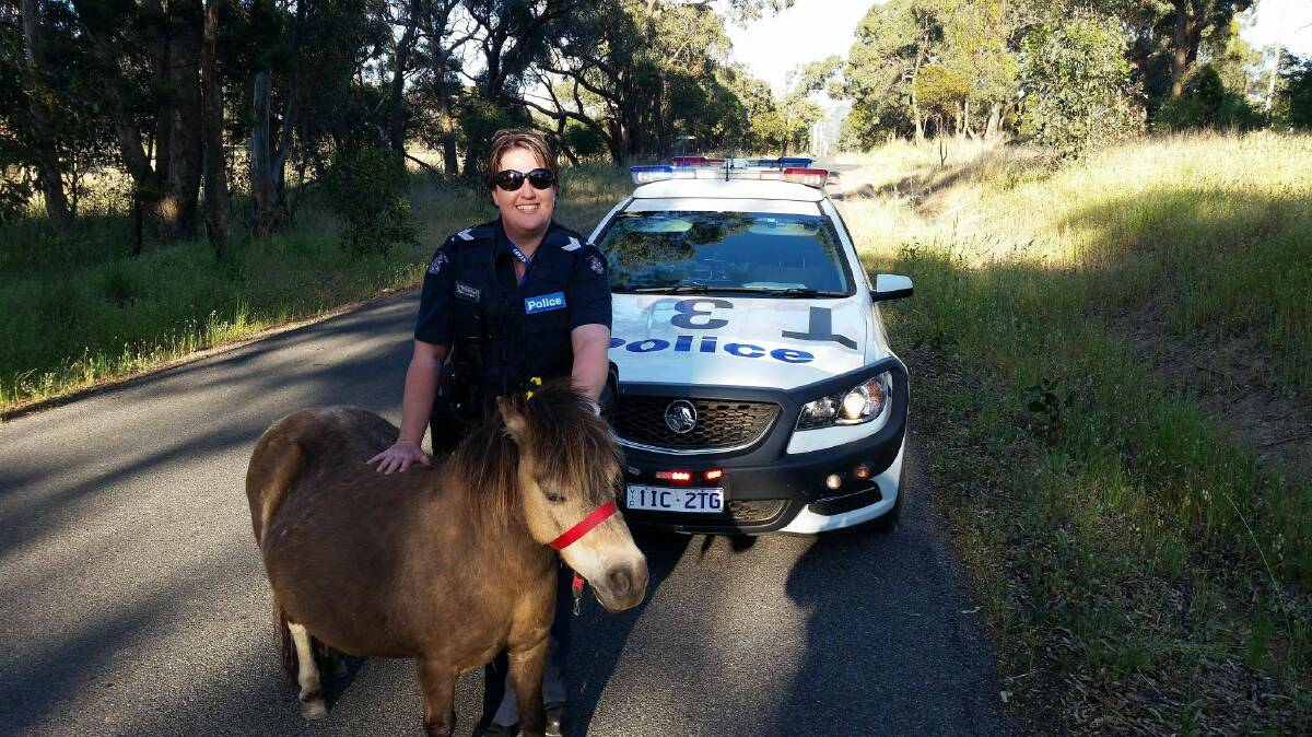 Ararat Police Senior Constable Danielle Richardson with the pony she found on the loose on Sunday. Picture: VICTORIA POLICE