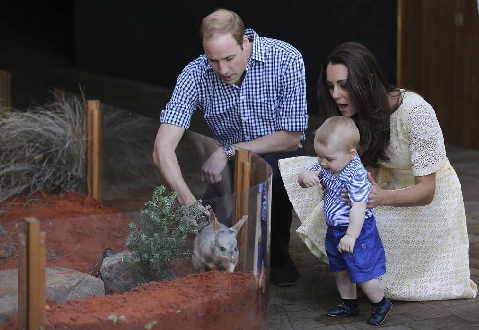 Prince William, Duke of Cambridge and Catherine, Duchess of Cambridge introduce their son Prince George to a Bilby named 'George' after him at Taronga Zoo's Bilby Enclosure, in Sydney. Photo: Kate Geraghty