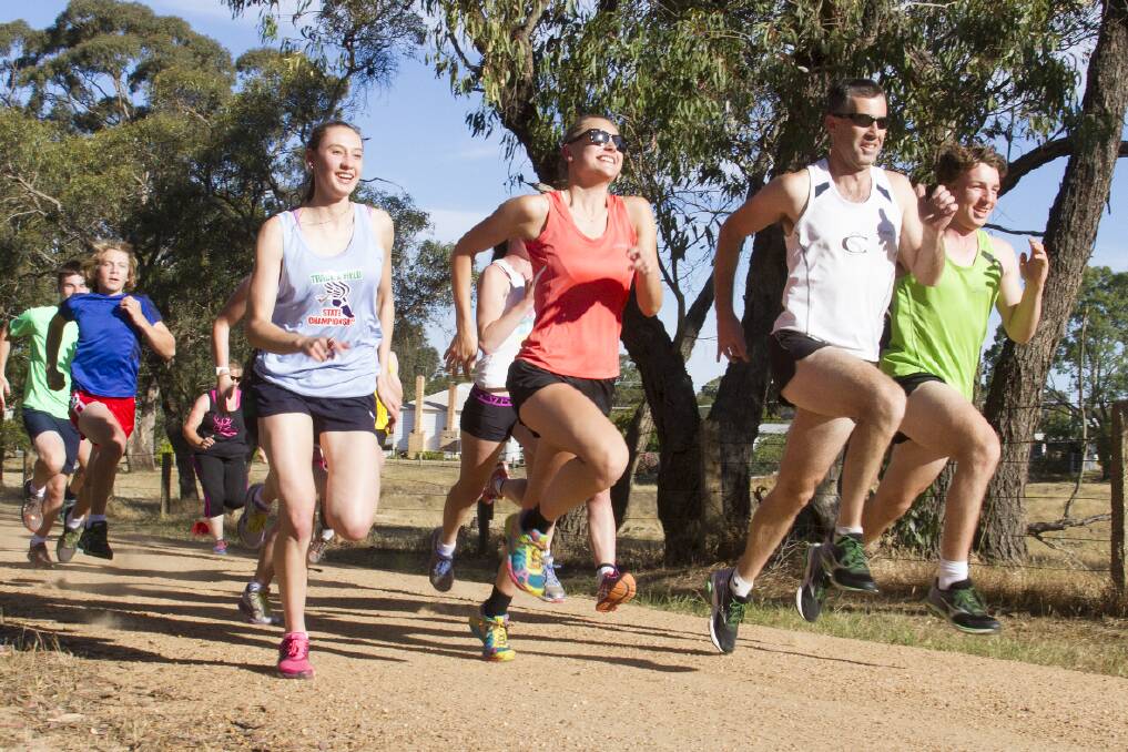LEADING LOCALS: Runners from Ararat’s Marcus Cooper Stable (L-R) Tiffany Boatman, Sarah Blizzard, Marcus Cooper and Fraser Heard lead the way at training in readiness for their hometown gift at Alexandra Oval tomorrow afternoon. Picture: PETER PICKERING