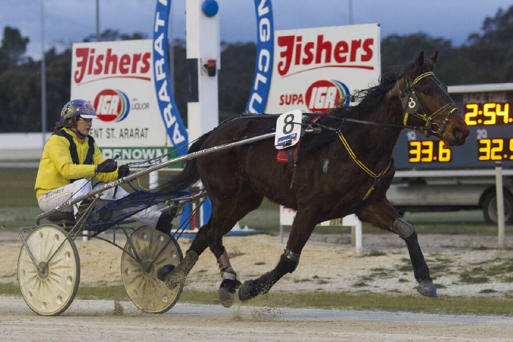 Argyle Melody, driven by Anne-Maree Conroy, salutes in race one at the Russell T White Raceway. Picture: PETER PICKERING.