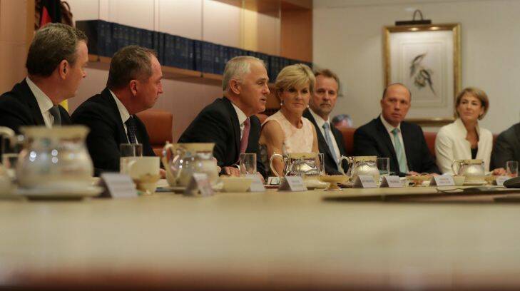 Prime Minister Malcolm Turnbull addressed his cabinet at Parliament House in Canberra on Tuesday 31 January 2017. Photo: Andrew Meares  Photo: Andrew Meares