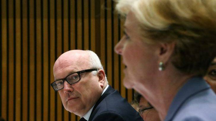 Attorney-General Senator George Brandis and Human Rights Commission president Gillian Triggs during a Senate hearing in Canberra. Photo: Alex Ellinghausen