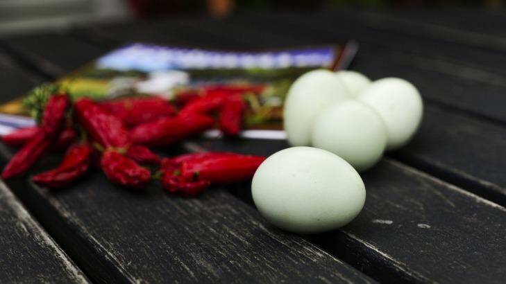 Araucana eggs and chili from Sue Pavasaris' Griffith garden. Photo: Melissa Adams 