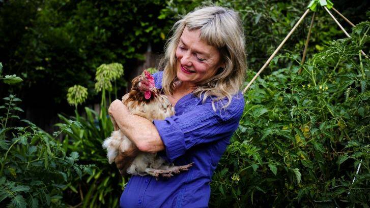 Sue Pavasaris with her French maran chicken in her garden in Griffith.  Photo: Melissa Adams