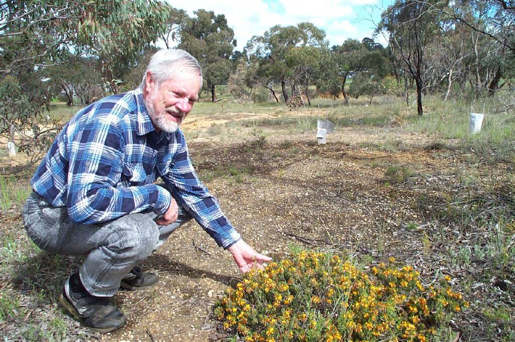 Ararat Landcare member Keith Little encourages everyone to join in on a National Tree Day tree plant in Ararat by Cemetery Creek.