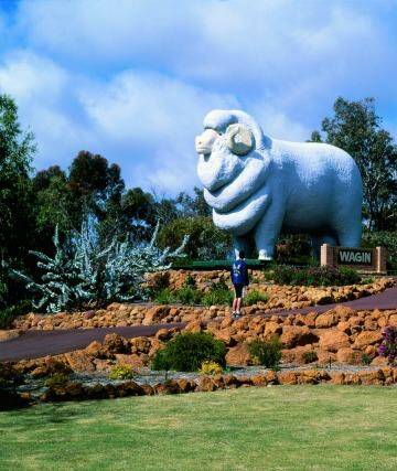 The Giant Ram, Wagin. Photo: Tourism Western Australia
