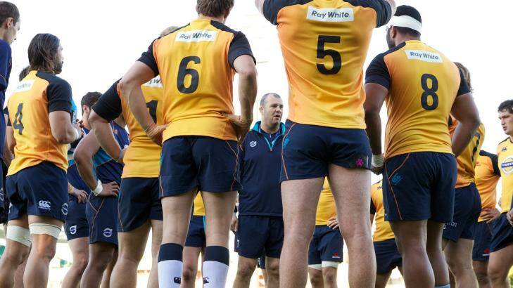 Under pressure: Waratahs coach Michael Cheika with his squad at training on Tuesday. Photo: Wolter Peeters