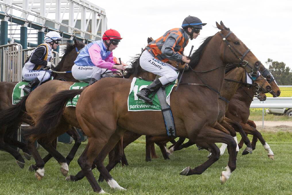 OFF AND RACING: The 2014/15 racing season got underway at the Ararat Turf Club last Friday with an entertaining eight card event. Pictured on the outside is jockey Jake Duffy getting four-year-old gelding Like Never Before away to a good start in race five. 
 Picture: PETER PICKERING