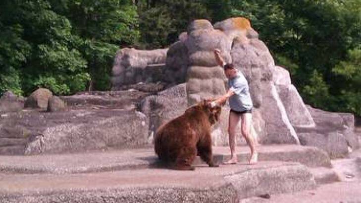 The man appears to attack the bear. Photo: Imgur