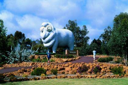The Giant Ram, Wagin. Photo: Tourism Western Australia