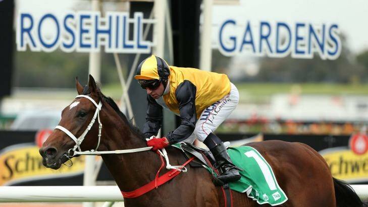 Ultra impressive: Press Statement maintained an unbeaten record by winning at Rosehill on Saturday. Photo: Anthony Johnson