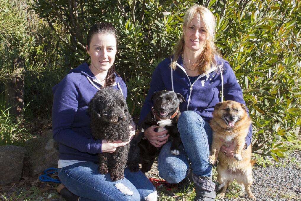 Kayley and Emilie Webster from Ararat Dog Rescue with Millie, Nugget and Bindi. 
 Picture: PETER PICKERING