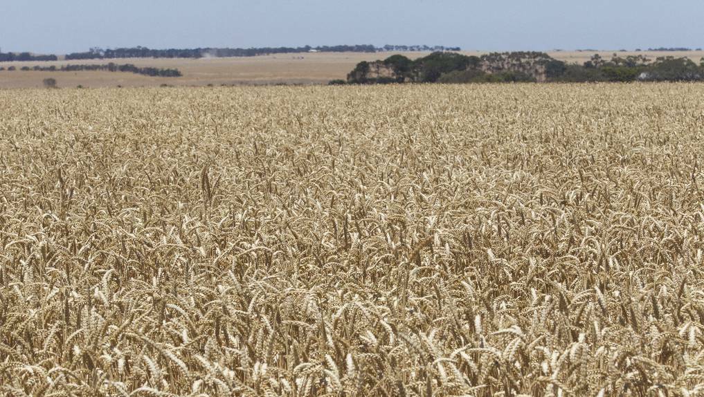 Rate reduction welcome, but urgent reform needed - VFF