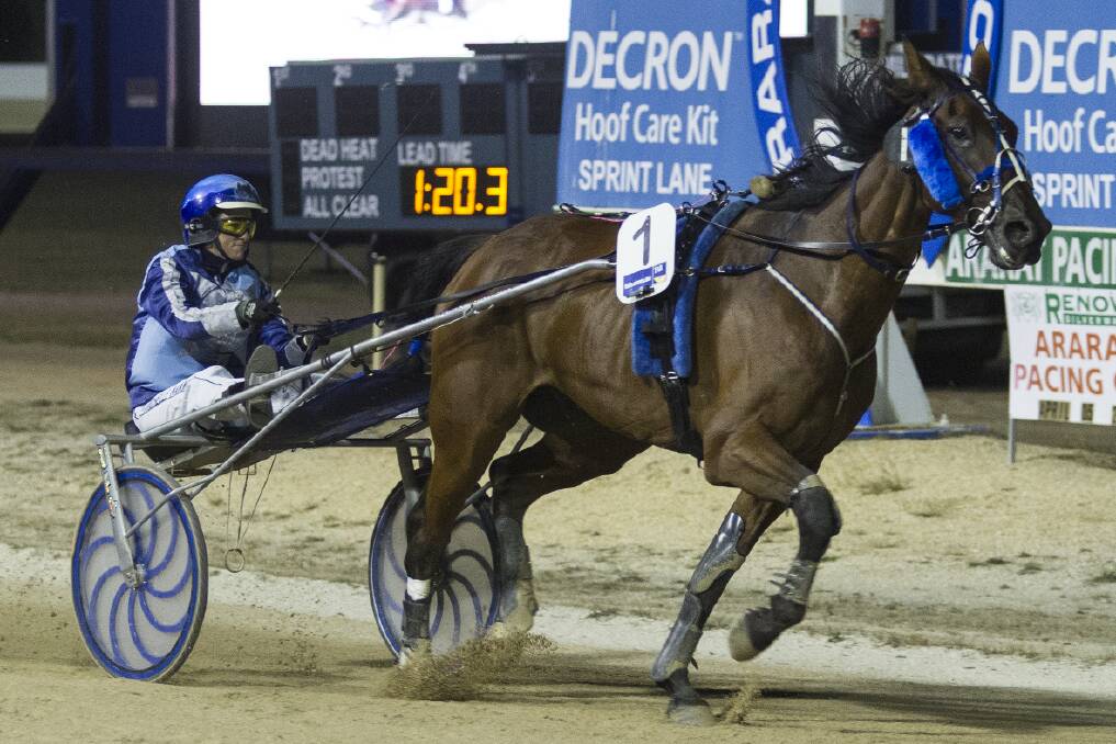 Idle Suntime survived a protest to win the Clive Reid Memorial Ararat Trotters Cup. Picture: PETER PICKERING.