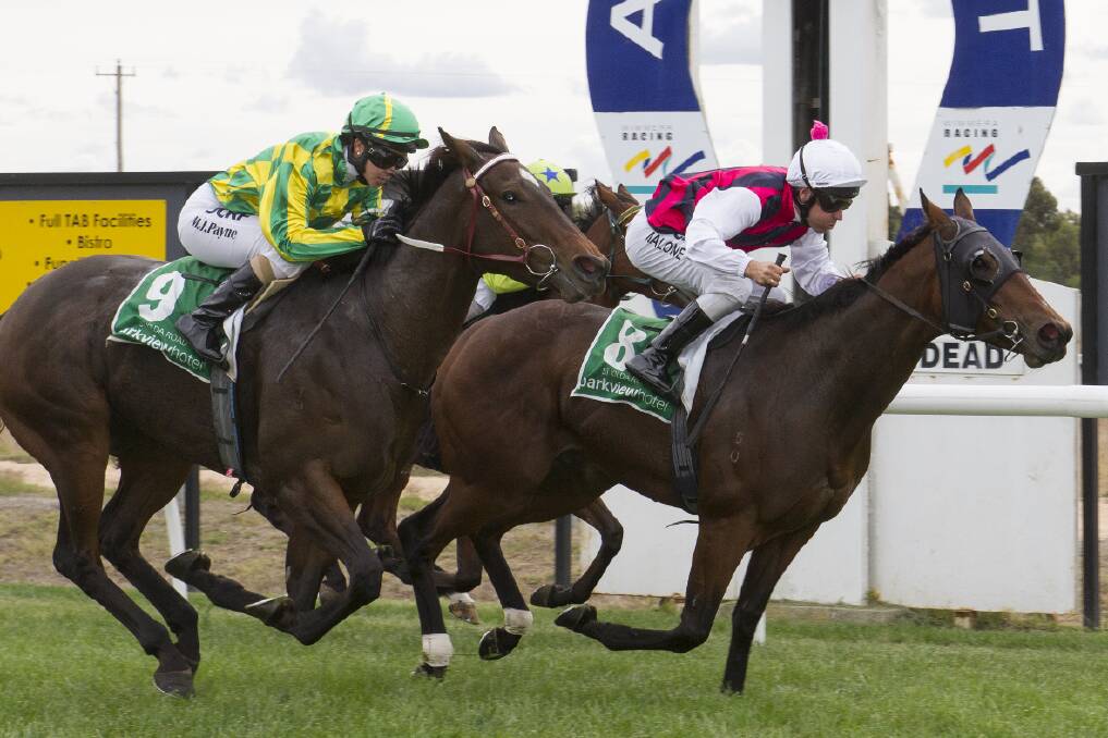 Ryan Maloney guides Laguna Vista to the win in race two at NMIT Ararat Park. Picture: PETER PICKERING. 