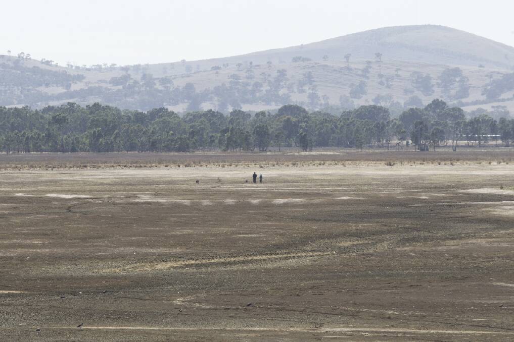 Green Hill Lake resembles a dry paddock and with the long range rainfall forecast not looking promising, it will probably stay this way for some time to come. Picture: PETER PICKERING