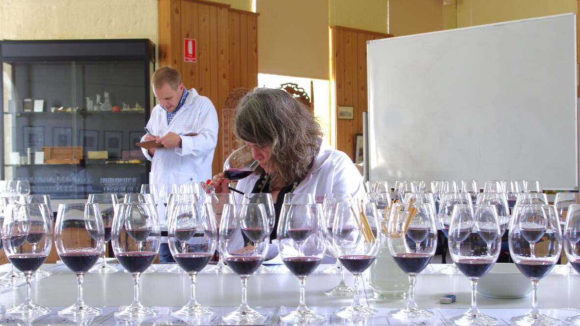 Sue Bell from Bellwether Wines judges a section of wine.