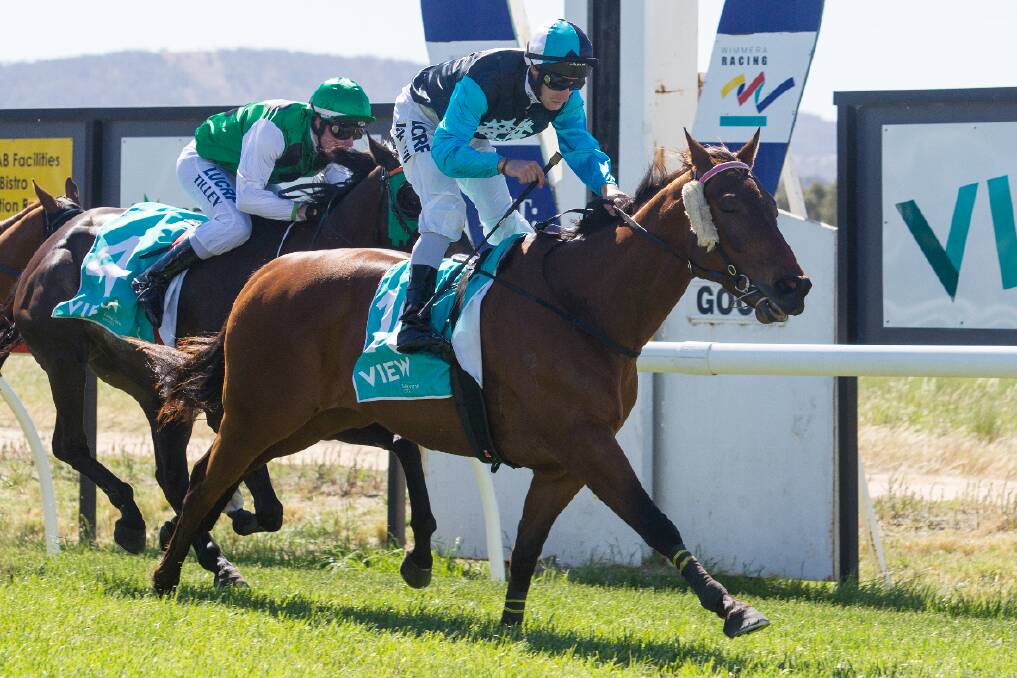 Jack Hill takes out the $75,000 Programmed China Bowl aboard Mannopoly at last Sunday’s Brookfield Multiplex Ararat Gold Cup Race Day. It was the third time Warrnambool trainer Symon Wilde has won the feature event. Picture: PETER PICKERING