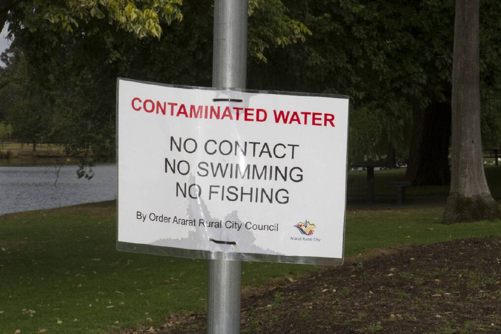 Signs at Alexandra Lake warn not to have contact with the water after blue green algae was discovered in the popular waterway.