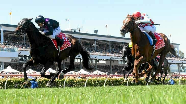 Copybook: Damien Oliver rode a sublime race to get Fiorente home in the Melbourne Cup. Photo: Pat Scala
