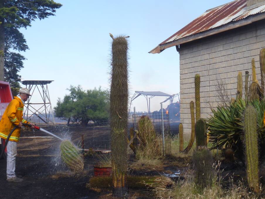 Joylene Sutherland’s collection of cacti, some 35 years old, were damaged in the blaze.