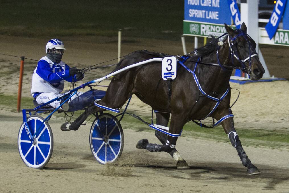 Daryl Douglas takes Itsnewstome to a clear win in the $8000 feature - The O Keeffe during the Sunday twlight meeting.